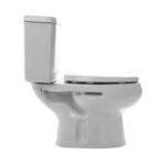 Roca Mónaco Inodoro Largo + Depósito